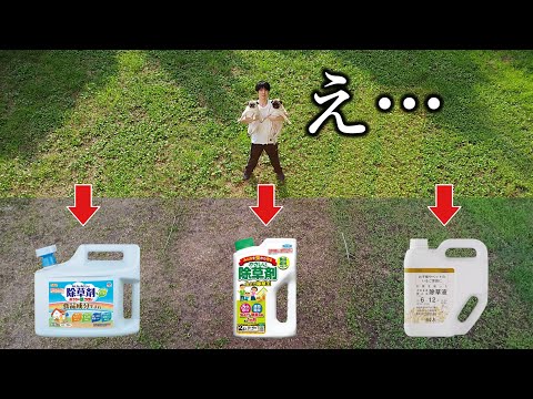 【検証】ペットに優しい除草剤を撒いた２日後…とんでもない結果になりました