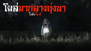 โผล่มากลางทุ่งนา | โกดังเรื่องผี EP.454 [เรื่องเล่า]
