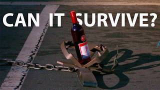 What can survive a BEAR TRAP?