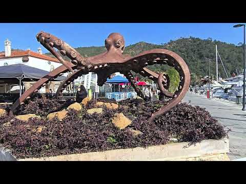 #Marmaris Marina - Bisiklet Turu Bugün - 12 Şubat 2025 - Hava 13 Derece