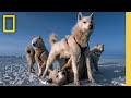 Ocean Conservation and Photography