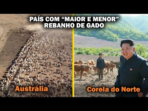 QUAL PAÍS TEM O “MAIOR” E O “MENOR” REBANHO DE GADO DO MUNDO