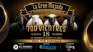 EN VIVO | Remate La gran majada - De productor a productor • El Rodeo