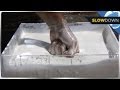 Elements and Sequence in Video