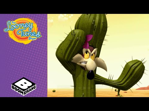 Wile E. Coyote's Worst Disguises | Looney Tunes | Boomerang UK