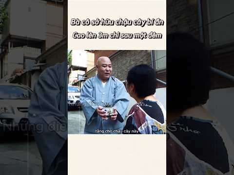 Bà cô sở hữu chậu cây bí ẩn cao lên 3m chỉ sau một đêm | những điều hay ho