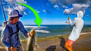 This Public Beach was LOADED with Monster Fish | SNOOKS Everywhere!