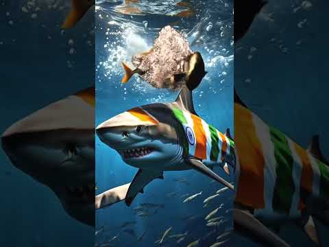 Pakistan shark ๐ฆ vs India shark ๐ฆ#ai #short