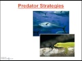 Evolution and Biodiversity Concepts