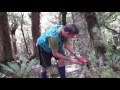 Biodiversity Monitoring Program Assessment