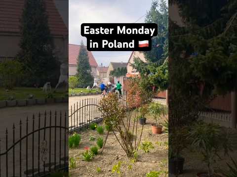 Easter Monday in Poland 🇵🇱😂 #poland #travel #easter #smigusdyngus #europe #slavicculture #polska