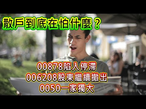 【存股人生-233】散戶到底在怕什麼？00878規模陷入停滯！006208股東持續流失！0050一家獨大！【卡哇KAWA】
