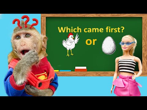 Which came first? EGG or CHICKEN - Can Monkey Babay BoBo answer that question?