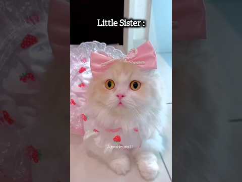 Family Members On Eid..😅(Part-1) #subscribe #shorts #like #funny #cute