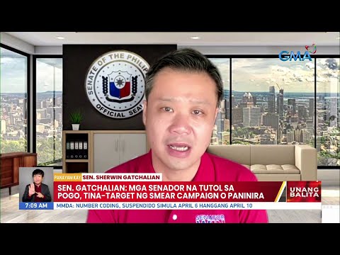 Sen Gatchalian Mga Senador Na Tutol Sa Pogo Tina Target Ng Smear