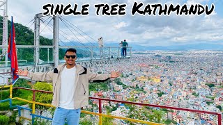 Single tree Kathmandu Nepal beautiful please🥰🥰🥰🥰