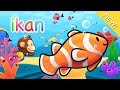Understanding the Ocean's Fish