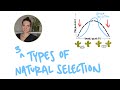 Natural Selection and Selective Pressures