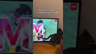 Meet Evie: Wrigleylville’s biggest Cubs fan