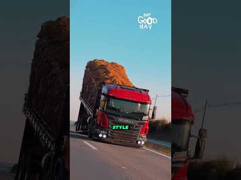 Why Brazilian Trucks Look Like Theyโre Climbing a Hill #shorts