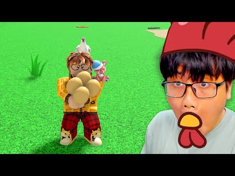 MENCURI TELUR AYAM - Roblox Indonesia Chicken