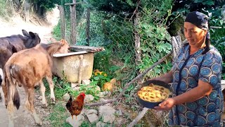 FEIXUA HARVESTING STARTED IN OUR VILLAGE. WE GATHERED AND PREPARED FOR WINTER
