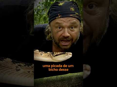 A SERPENTE MAIS BIZARRA DA AMAZÔNIA! #richardrasmussen #cobra #shorts