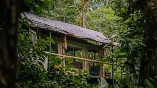 Glamping Costa Rica | Where to Stay in Puerto Viejo, Costa Rica 