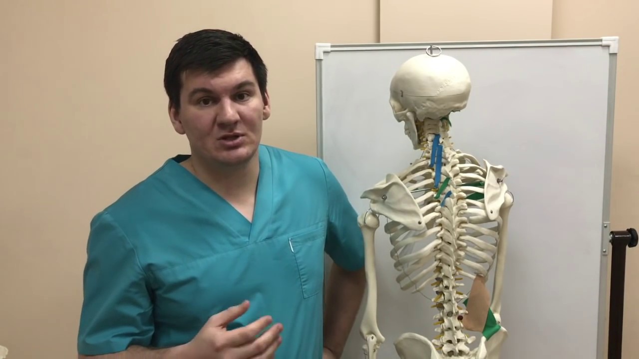 Остеохондроз из-за прямохождения? Что может быть хуже?