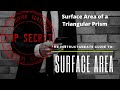 Surface Area and Volume Concepts