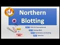Northern Blotting Techniques and Applications