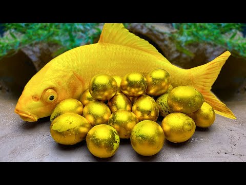 Animation Stop Motion 황금 잉어 물고기, 화려한 메기 - Mukbang 무지개 문어, 귀여운 핑크색 개구리/ Funny 스톱모션 요리