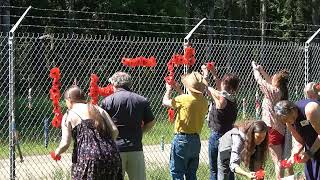 Planting flowers and poppies by Sub Base fence at GZ