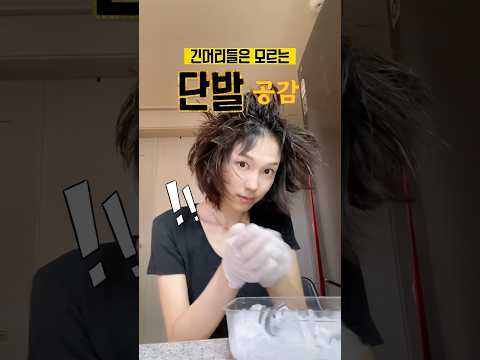 단발병 유발 영상 (막 자르고 싶어지죠?) 👼🏻 #유행단발 #단발스타일 #단발추천 #셀프염색 #단발공김 #처피뱅 #헤어꿀팁 #릴스 #reels #vlog #단발레이어드