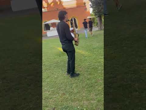 Dario Fagiolo Sax & Dj