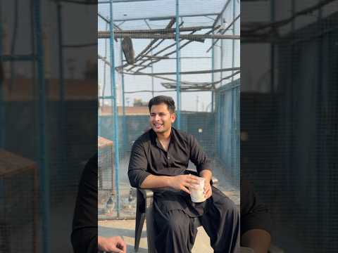 Lahori Kabutar gayab(PT-1)๐๏ธ๐ฑ๐ญ#trending #emotional #motivation #shorts