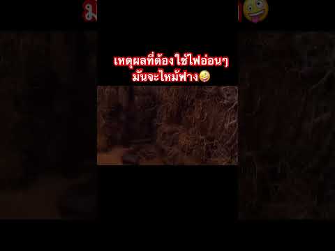 #ชุดสืบสวนนาหว้า สำนักจอมยุทธ์😁👮🏻‍♂️