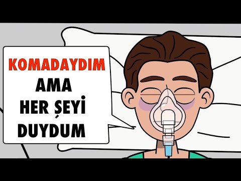 Komamın Arkasındaki Gerçek: Beni Kim İtti ve Neden Biliyorum