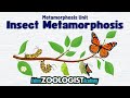 Understanding Concepts from the Video Tutorial