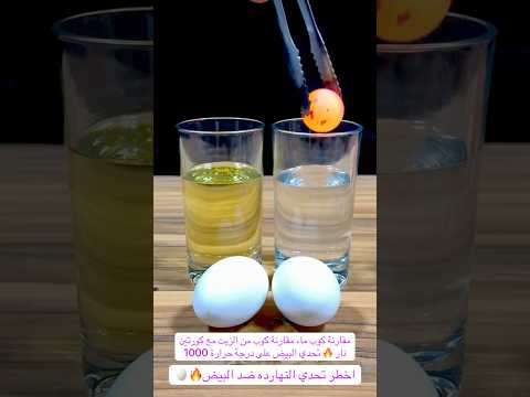 شاهد كيف يتغير الماء عنده وضع البيض🥚 في كوب من الزيت🔥🥚🔬 #شورت #اكسبلور #ترند #معلومات #science