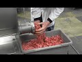 Meat and Animal Science Program Overview