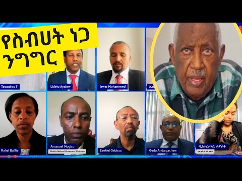 Ethiopia: ስብሀት ነጋ በ "ጦርነት ይቁም! አገዛዝ ያብቃ! ሰላም ይምጣ!" ታላቅ የተቃውሞ ትእይንተ ህዝብ ላይ ያሰሙት ንግግር | Sebhat Nega