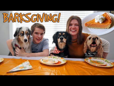 We Hosted the ULTIMATE Dog Thanksgiving Party!