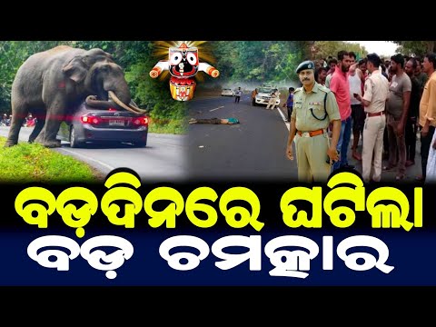 ବଡ଼ଦିନରେ ଘଟିଲା ବଡ଼ ଚମତ୍କାର | ଜଗନ୍ନାଥଙ୍କ ମହିମା | Lord Jagannath Story | Odia Short Story |