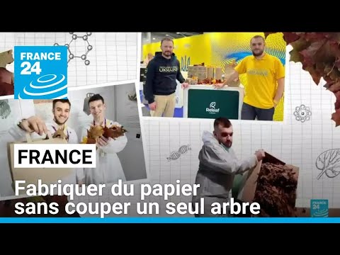 France : fabriquer du papier sans couper un seul arbre • FRANCE 24