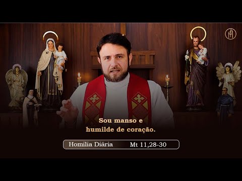 Homilia Diária | Quinta-feira - Bem-aventurado Inácio de Azevedo e companheiros - (Mt 11,28-30)