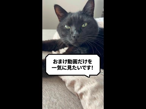 【おまけ動画集】スピの日常動画！１月投稿分