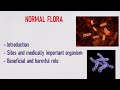Normal Flora and Its Functions