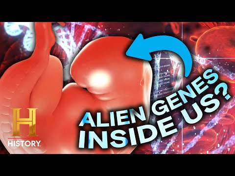Alien Hybrids & the Secret Programs Behind Them | Ancient Aliens