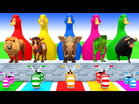 Paint Wild Animals Crossing Fountain Animation: 5 Giant Duck Cartoon, Cow, Elephant, Tiger